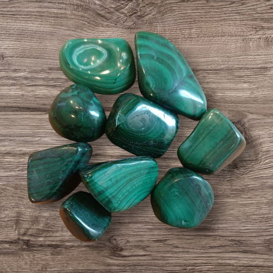 Malachite burattata 2-4 cm